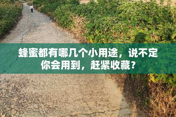 蜂蜜都有哪几个小用途，说不定你会用到，赶紧收藏？