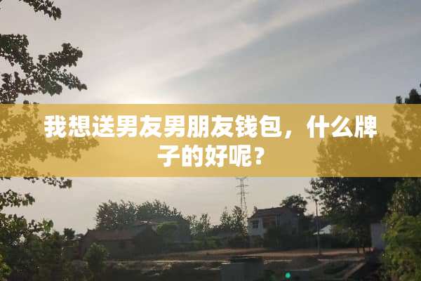 我想送男友男朋友钱包，什么牌子的好呢？