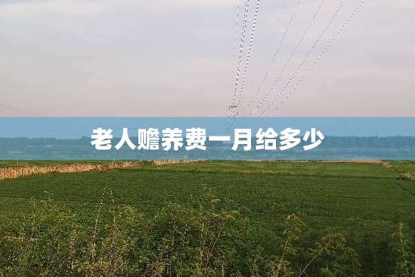 老人赡养费一月给多少