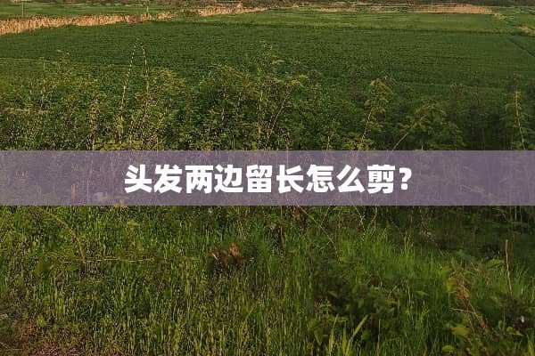 头发两边留长怎么剪？