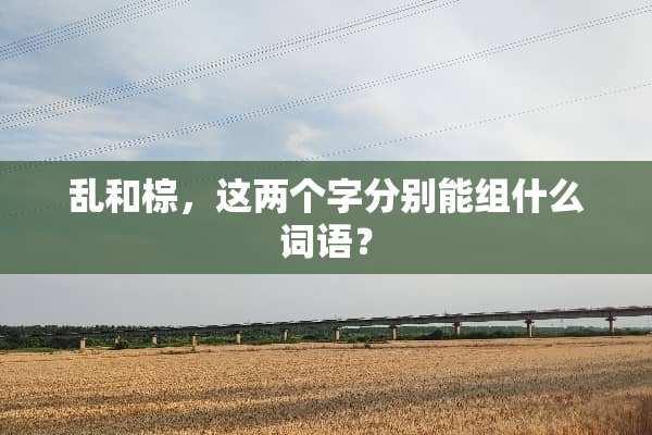 乱和棕，这两个字分别能组什么词语？
