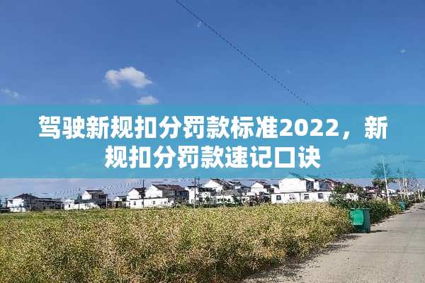 驾驶新规扣分罚款标准2022，新规扣分罚款速记口诀