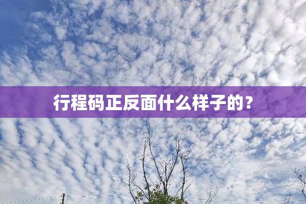 行程码正反面什么样子的？