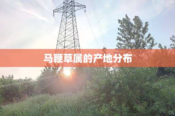 马鞭草属的产地分布