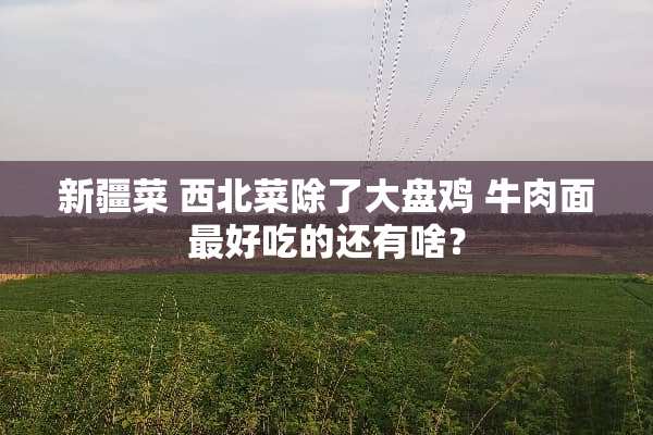 新疆菜 西北菜除了大盘鸡 牛肉面最好吃的还有啥？