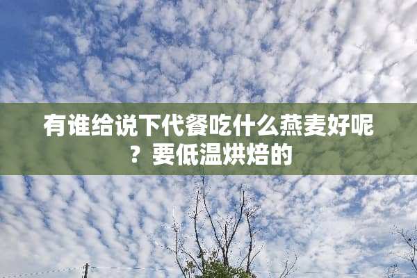 有谁给说下代餐吃什么燕麦好呢？要低温烘焙的