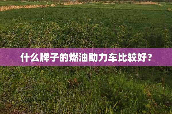 什么牌子的燃油助力车比较好？