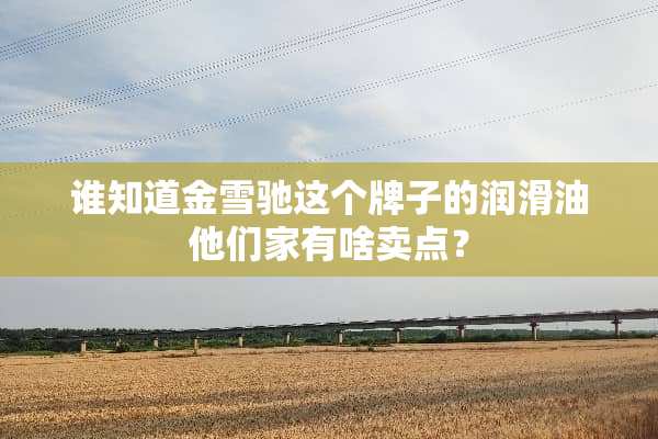 谁知道金雪驰这个牌子的润滑油他们家有啥卖点？