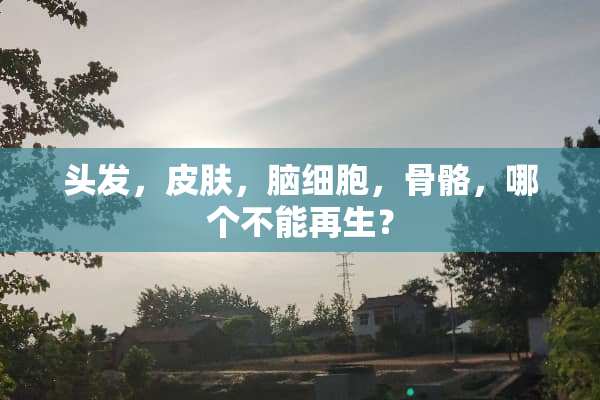 头发，皮肤，脑细胞，骨骼，哪个不能再生？