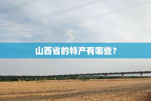 山西省的特产有哪些？