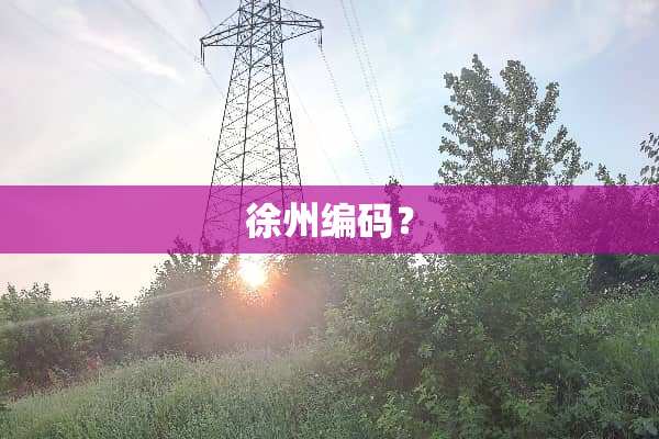 徐州编码？
