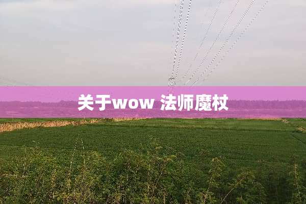 关于wow 法师魔杖