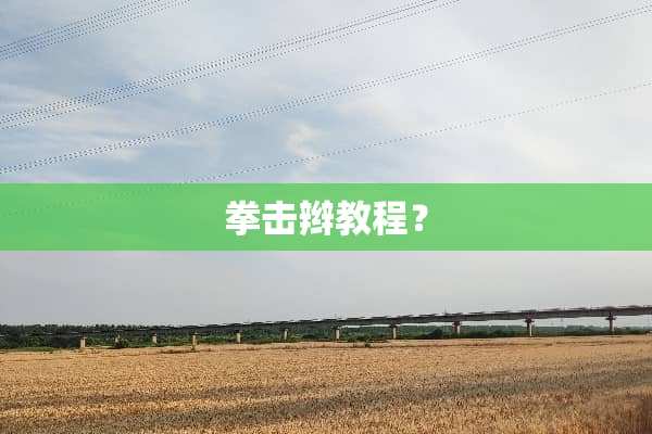 拳击辫教程？