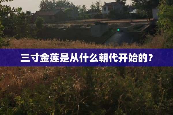 三寸金莲是从什么朝**始的？