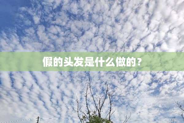假的头发是什么做的？