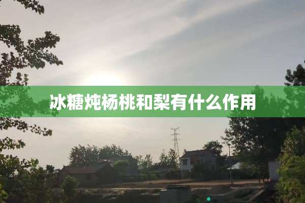 冰糖炖杨桃和梨有什么作用
