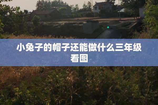 小兔子的帽子还能做什么三年级看图
