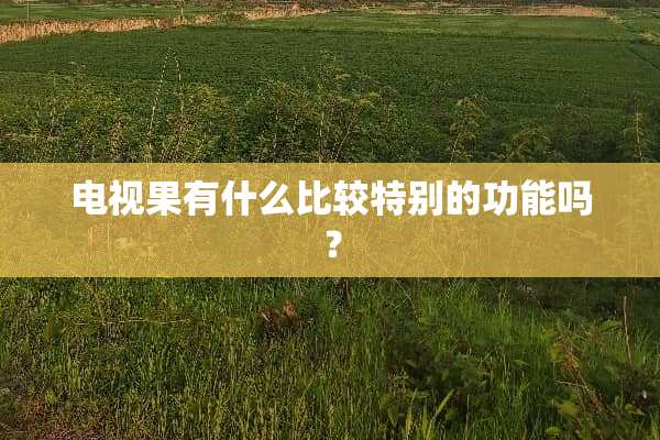 电视果有什么比较特别的功能吗？