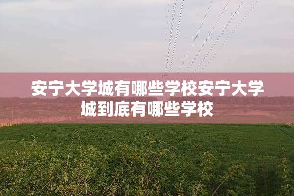 安宁大学城有哪些学校安宁大学城到底有哪些学校