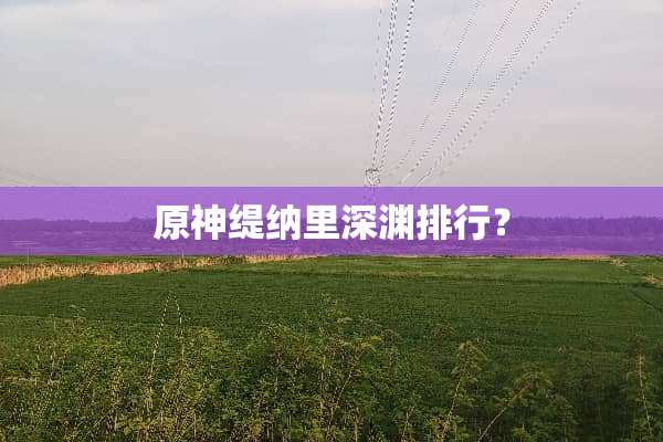 原神缇纳里深渊排行？