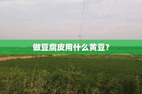 做豆腐皮用什么黄豆？