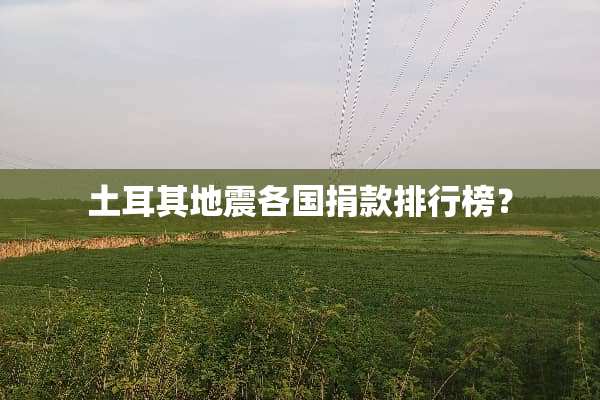 土耳其地震各国捐款排行榜？
