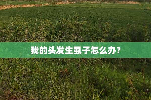 我的头发生虱子怎么办？