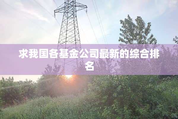 求我国各基金公司最新的综合排名