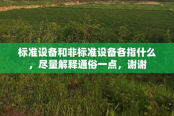 标准设备和非标准设备各指什么，尽量解释通俗一点，谢谢