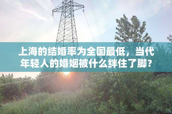 上海的结婚率为全国最低，当代年轻人的婚姻被什么绊住了脚？