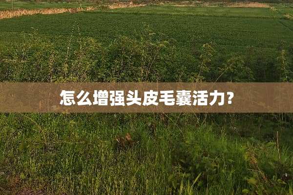 怎么增强头皮毛囊活力？