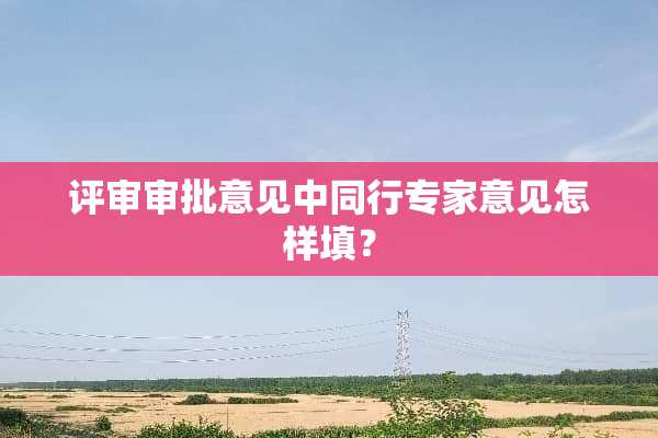 评审审批意见中同行专家意见怎样填？