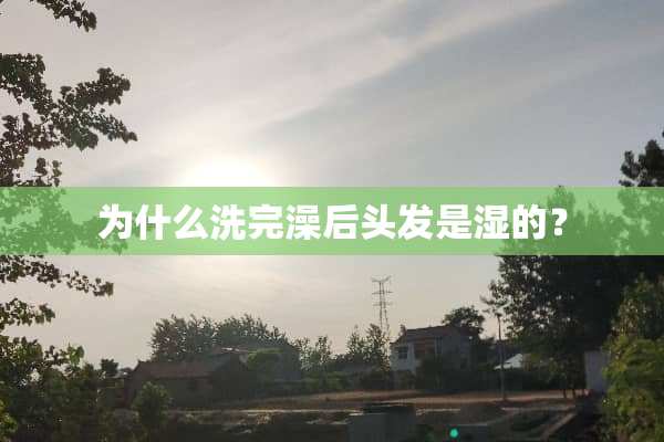 为什么洗完澡后头发是湿的？