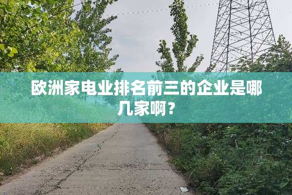 欧洲家电业排名前三的企业是哪几家啊？