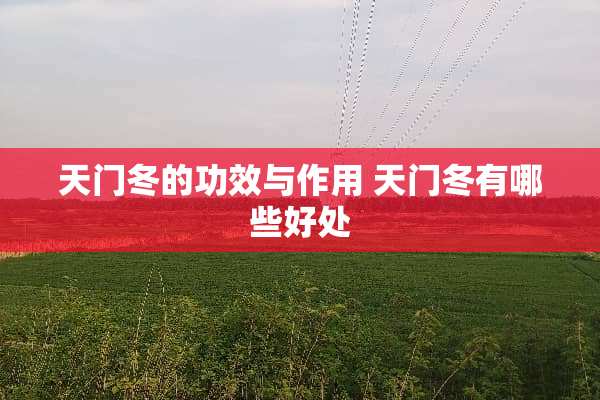天门冬的功效与作用 天门冬有哪些好处