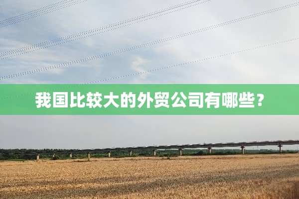 我国比较大的外贸公司有哪些？