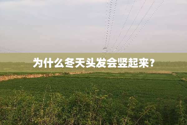 为什么冬天头发会竖起来？
