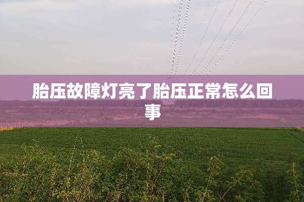 胎压故障灯亮了胎压正常怎么回事