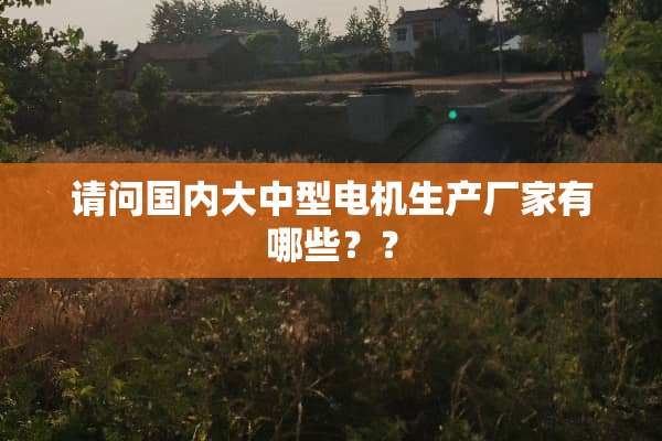 请问国内大中型电机生产厂家有哪些？？