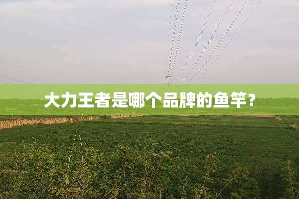 大力王者是哪个品牌的鱼竿？