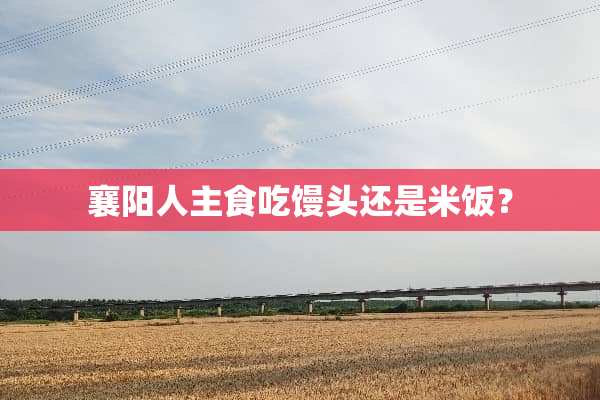 襄阳人主食吃馒头还是米饭？