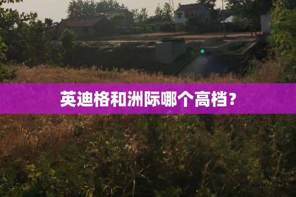 英迪格和洲际哪个高档？