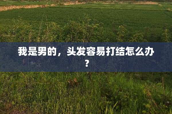 我是男的，头发容易打结怎么办？