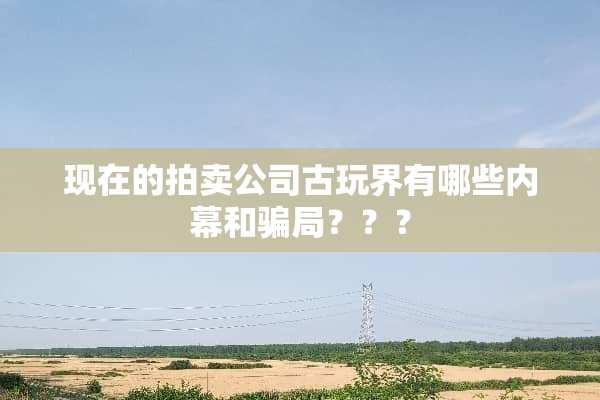 现在的拍卖公司古玩界有哪些内幕和**？？？