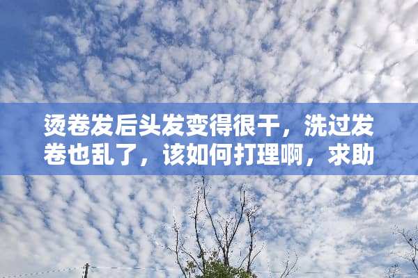 烫卷发后头发变得很干，洗过发卷也乱了，该如何打理啊，求助~~~~~？