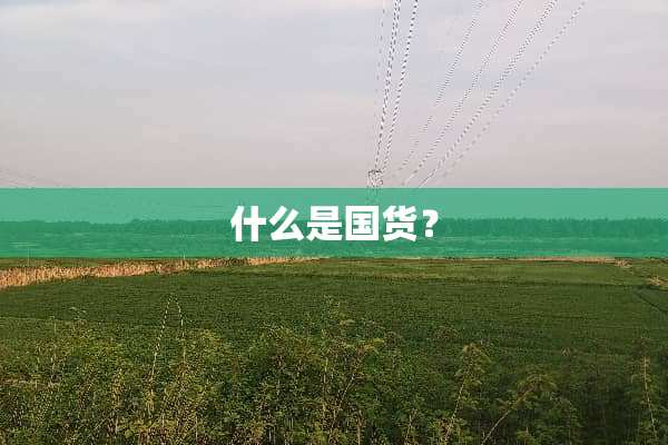 什么是国货？