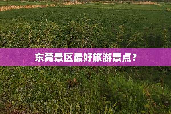 东莞景区最好旅游景点？