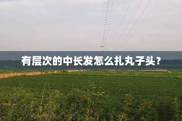 有层次的中长发怎么扎丸子头？