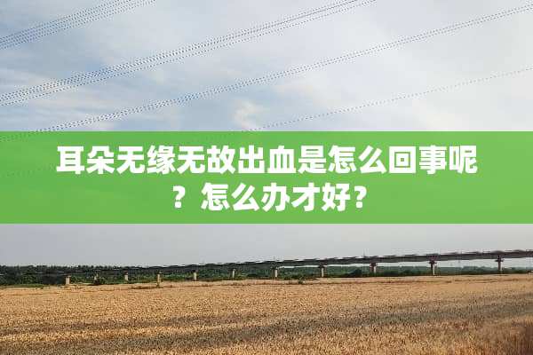 耳朵无缘无故出血是怎么回事呢？怎么办才好？