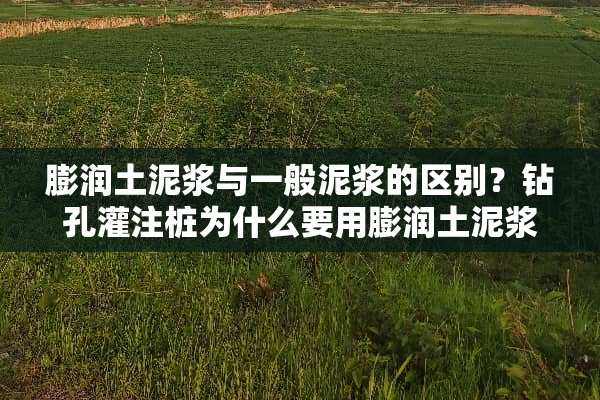 膨润土泥浆与一般泥浆的区别？钻孔灌注桩为什么要用膨润土泥浆？